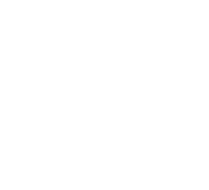 temperature icon